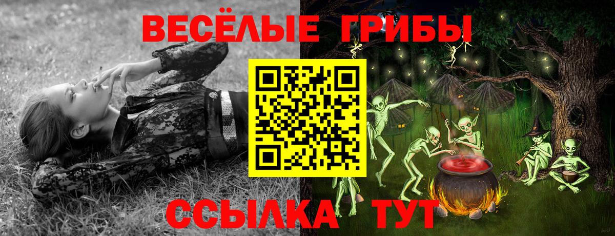 Псилоцибиновые грибы Cubensis Тихорецк