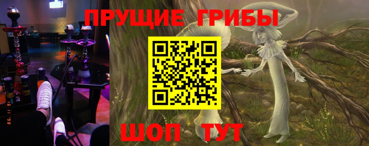 Псилоцибиновые грибы Magic Shrooms  цены   Тихорецк  Вход с VPN 
